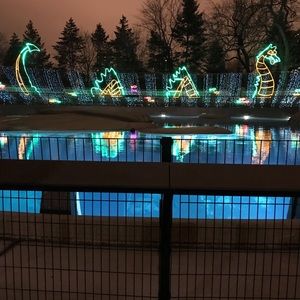 Meet your Posher, Bella